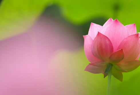 1692810646545644.png image.png