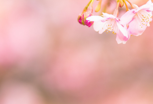 1692810812985071.png image.png