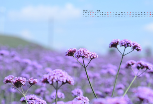 1692828407402967.png image.png