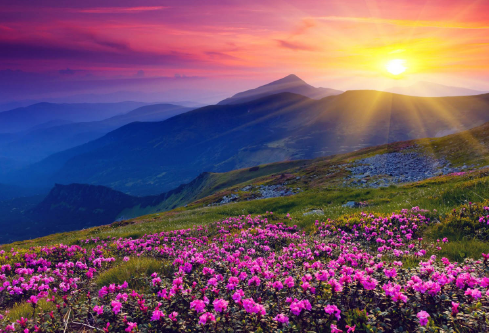 1692830235846307.png image.png