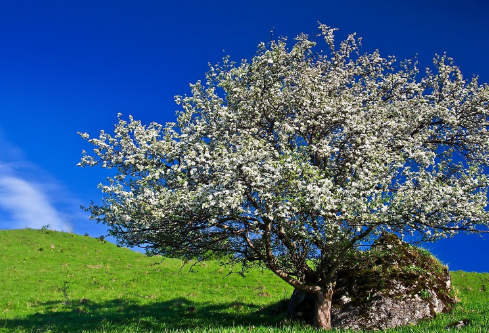 1692830400796322.png image.png