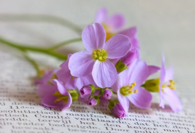 ​观《全民开考》有感600字