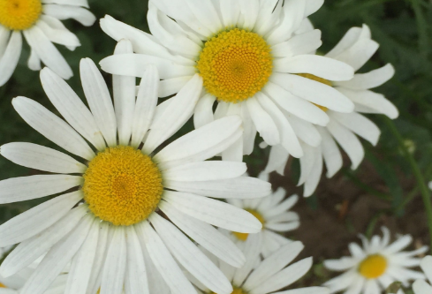 1692832060318248.png image.png