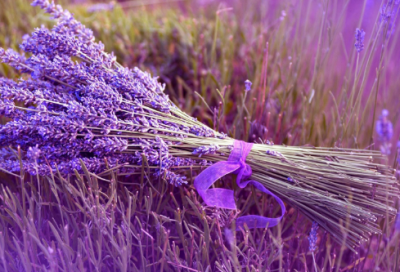 ​六年级语文下册期末试卷