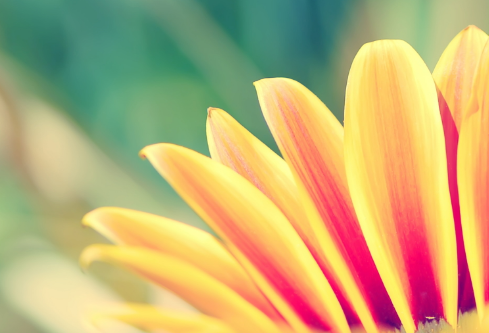 1692833055993843.png image.png