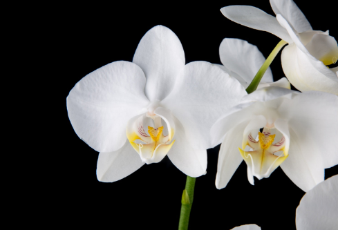 1692833221518618.png image.png