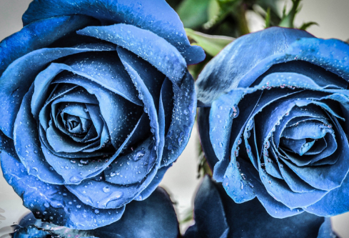 1692833388203208.png image.png