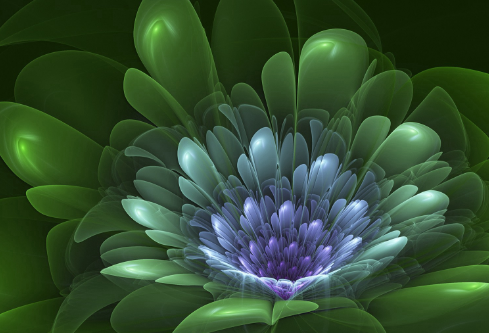 1692833553878489.png image.png