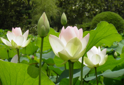 1692833886125225.png image.png