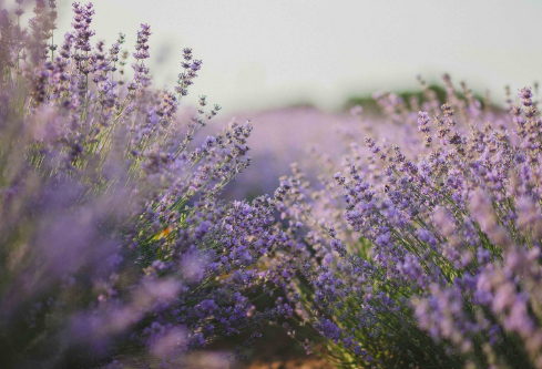 1692834052128883.png image.png