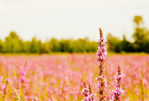 1692834550823927.png image.png