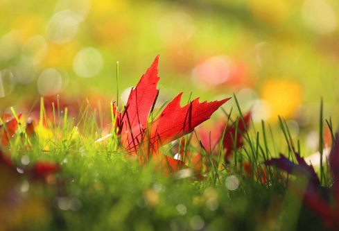 1692834716937879.png image.png