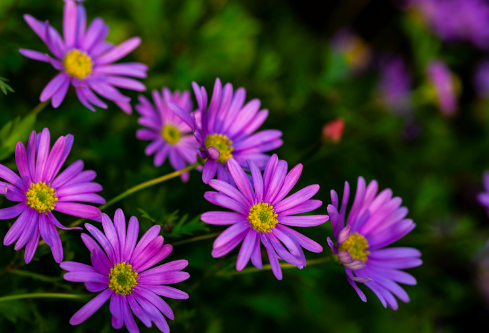 1692834882718826.png image.png