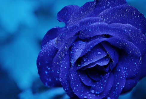 1692835380130939.png image.png