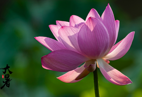 1692835546498803.png image.png