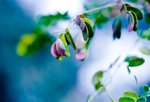 1692835712272067.png image.png