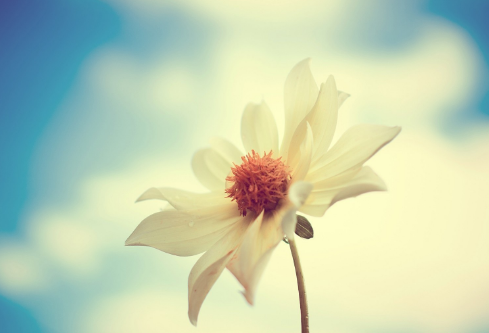 1692835878556067.png image.png