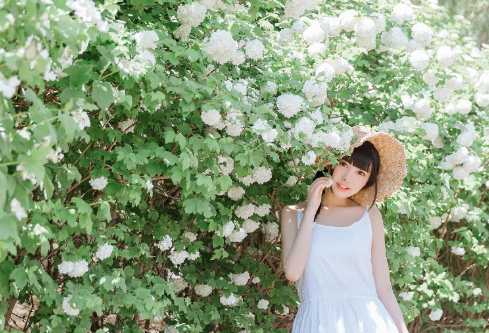 1692997667148327.png image.png