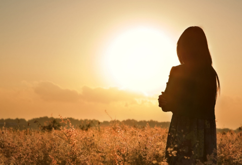 1693001815914207.png image.png