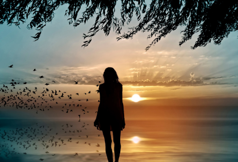 1693005299142832.png image.png