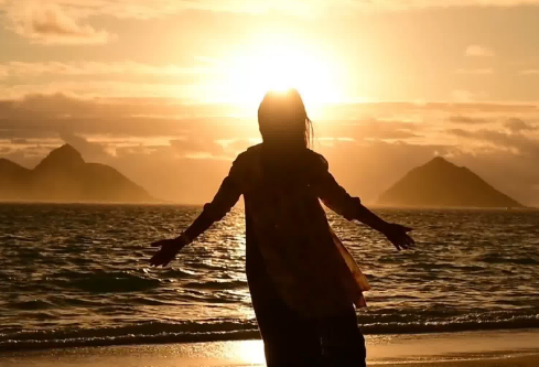 1693006461480402.png image.png