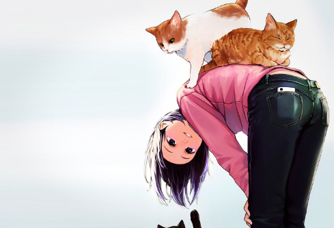 1693011437975522.png image.png