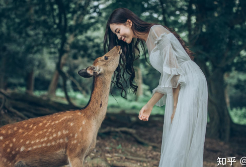 1693012930902347.png image.png