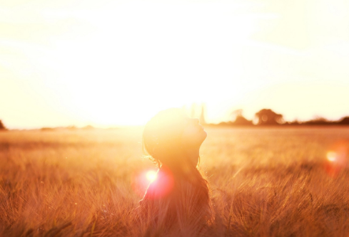 1693029066344138.png image.png