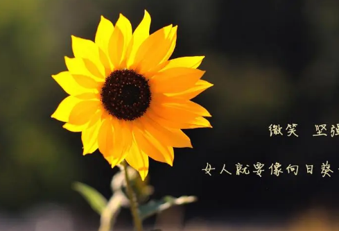 1693046209360713.png image.png