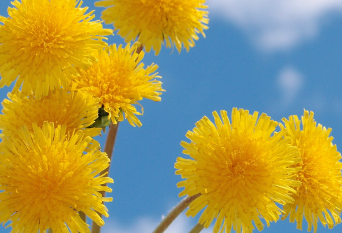 1693077995203862.png image.png