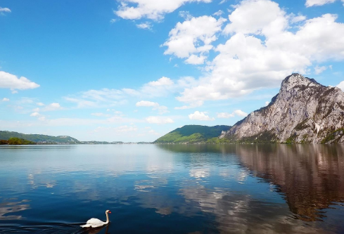 1693082977729203.png image.png