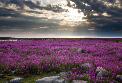 1693084306499587.png image.png