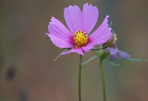 1693087957168439.png image.png