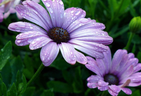 1693106882373978.png image.png