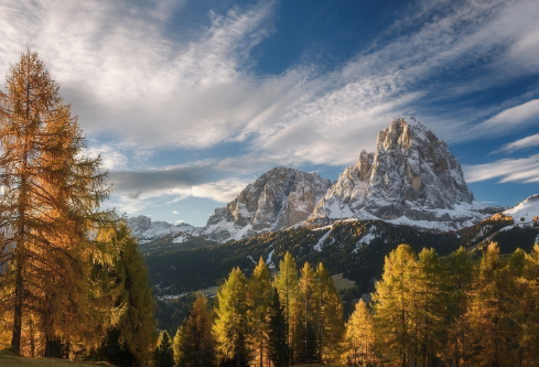 1693108376528934.png image.png