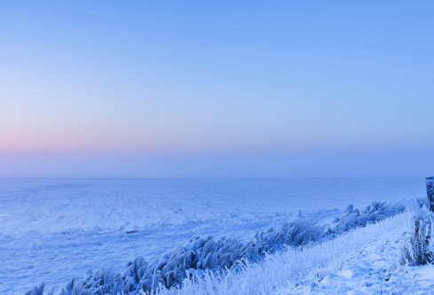 1693108874580015.png image.png