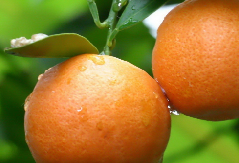 1693109379468595.png image.png