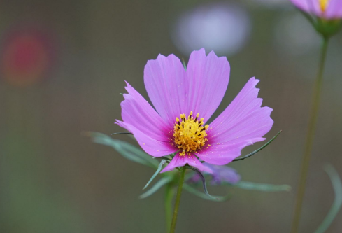 1693109545890978.png image.png