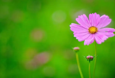 1693110218978162.png image.png