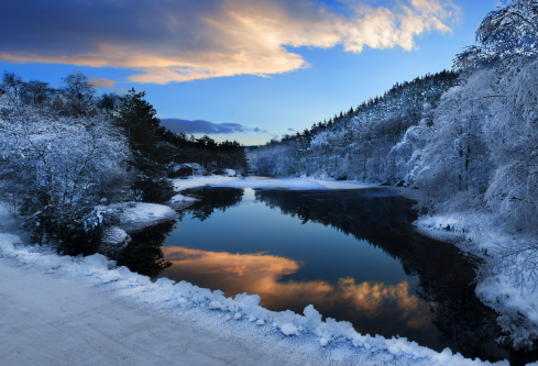 1693121526275300.png image.png