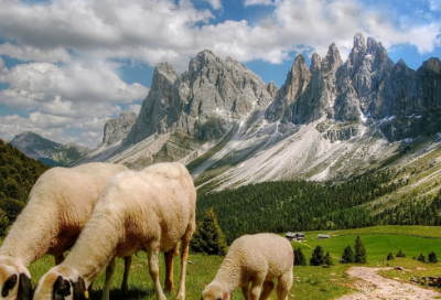 ​高欢与娄昭君的传奇故事