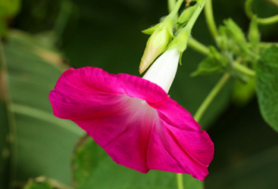 ​与墨子有关的成语 墨子守义的故事