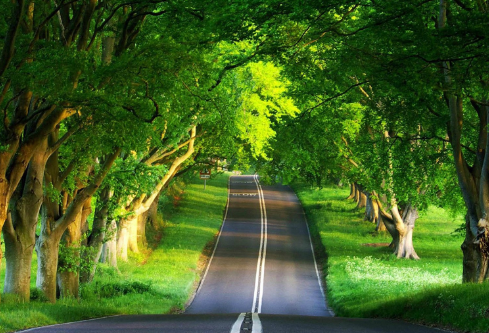 1693124677544113.png image.png