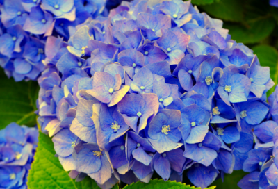 ​美国独立战争中有哪些故事