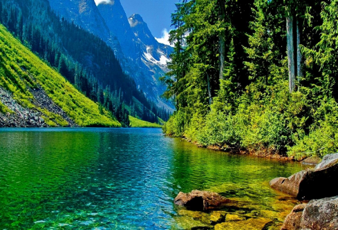 1693127497643780.png image.png