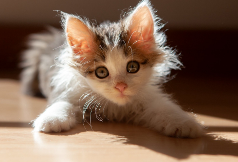 1693127663198948.png image.png