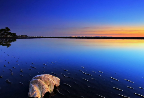 1693128327370436.png image.png