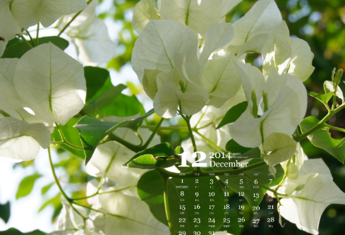 1693128991818560.png image.png