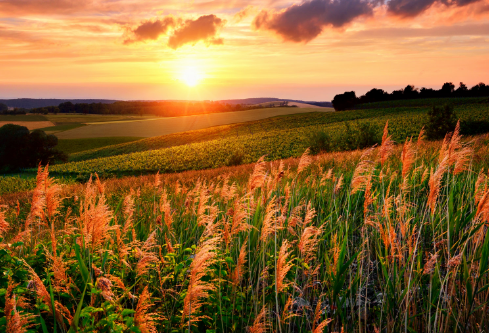 1693129654677124.png image.png