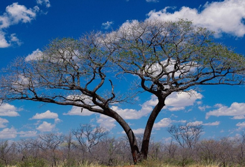 1693131148179323.png image.png